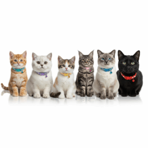 Cat Heads and Fishes Printed Adjustable Polyester Collar